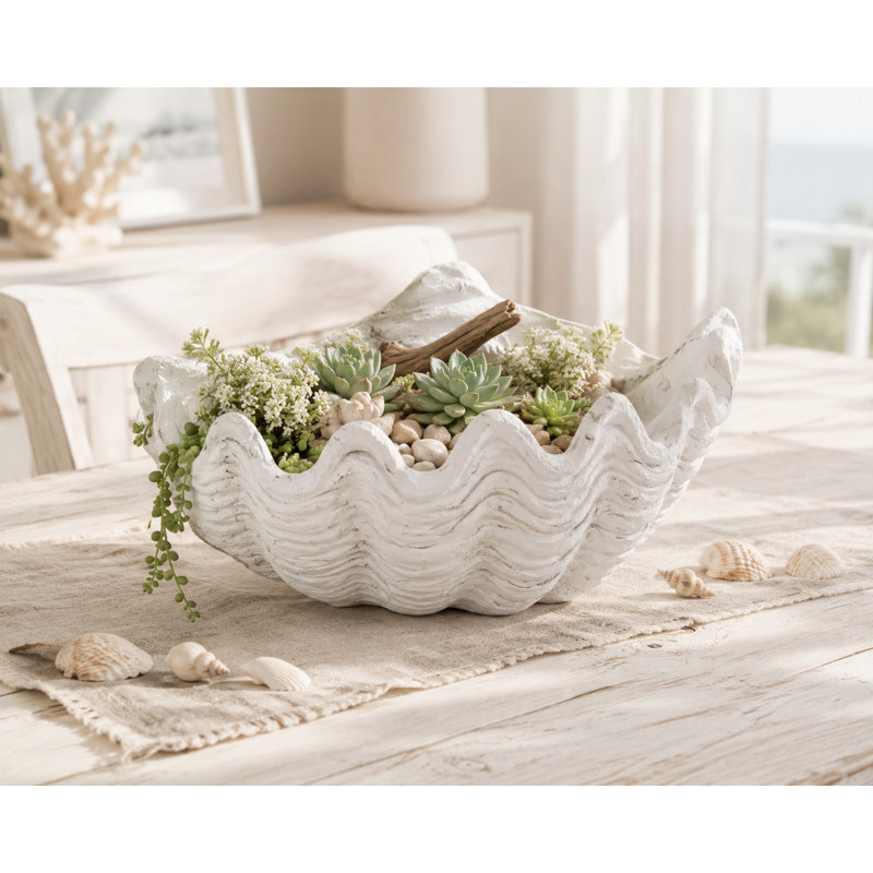 Emeighleigh Coastal Shell Polyresin Planter in Matte White