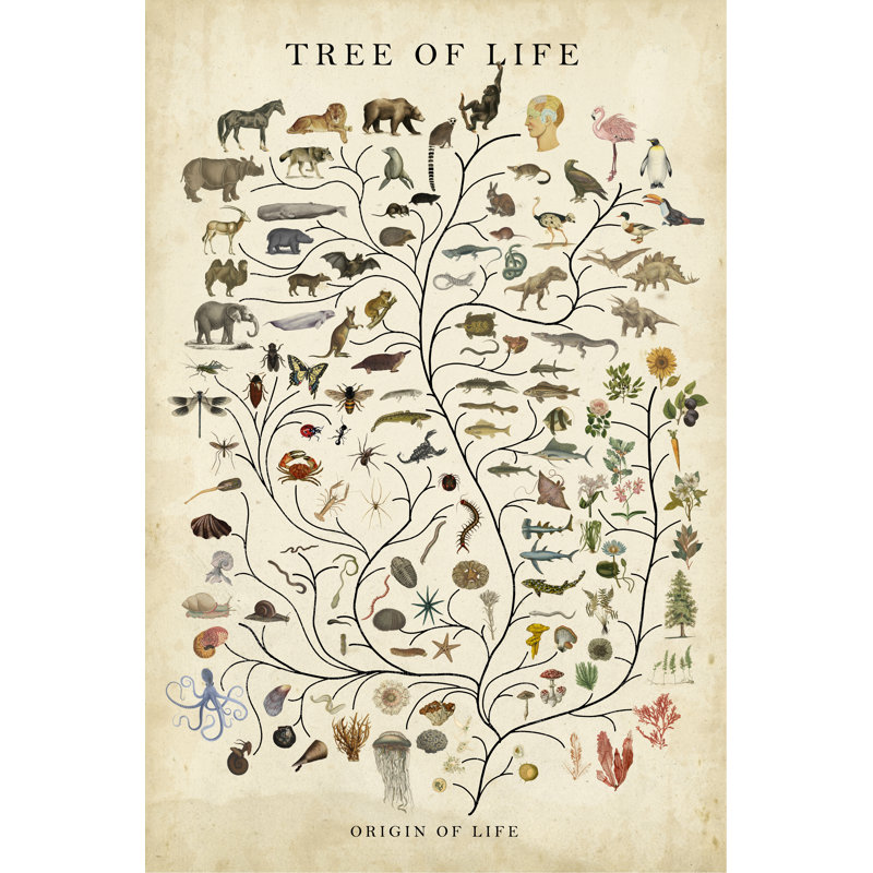 Arbre de vie par Studio W - reproduction sur toile tendue, H 12 po x l 8 po