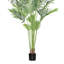 Faux palmier Areca dans un pot noir-252935529
