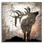 «Calling Elk» par Lightbox Journal-1697645512