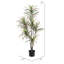 Dracaena artificiel en pot-149051531