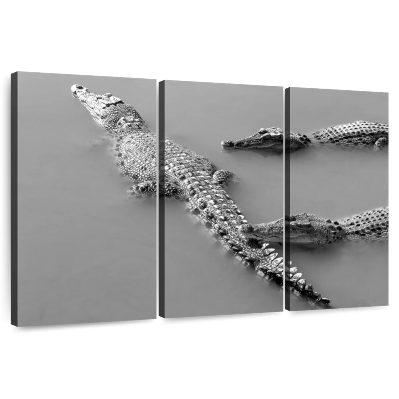 Crocodile Trio, H 20 po x l 33 po