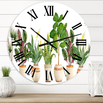 Trio de plantes d'intérieur Sanseviera Snake Plant - horloge murale de ferme