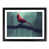 Black Framed selected