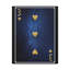 No Frame Print on Canvas-386642900