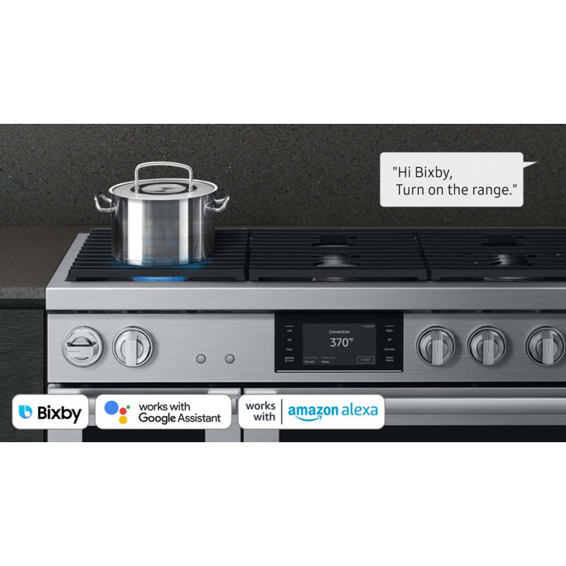 48" Pro-Range 6 Burners, Transitional, Silver, Natural Gas/Liquid Propane