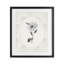 «Antique Botanical & Lace», impression par CAD Designs-1077427447-1077427433