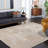 Wendi Performance Abstract Rug-33132989