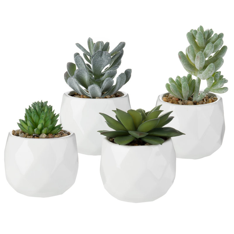 10.9cm Faux Succulent Plant in Ceramic Pot