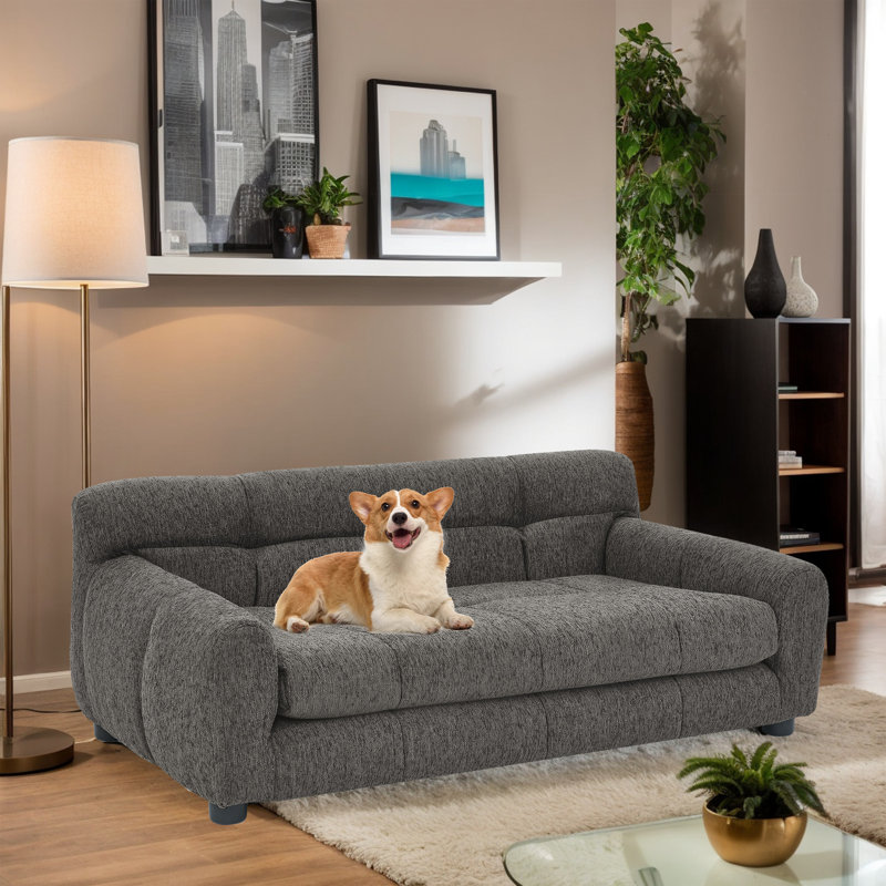 Canapé pour animaux de compagnie , Gris foncé
