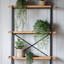 81cm Faux Fern Plant in Pot