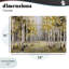 Impressionniste bouleaux et feuilles d'automne, conception par Jacky Ngan-165158511