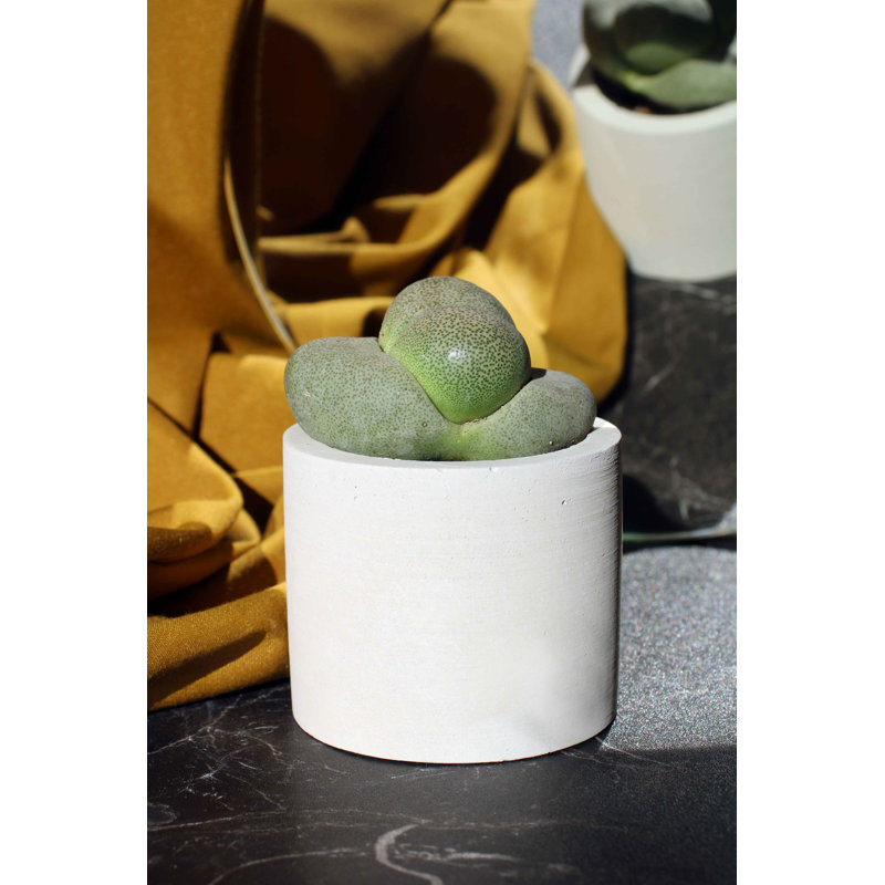Concrete / Cement Tabletop Tealight Holder, Grey