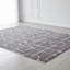 Wool Area Rug in Gray-275264361