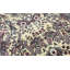 Wool Oriental Area Rug in Beige/Light Plum/Green