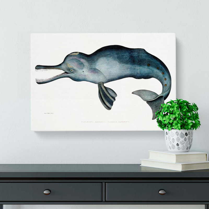 River Dolphin by John Edward Gray - Wrapped Canvas Print, 40cm H x 60cm W x 3cm D