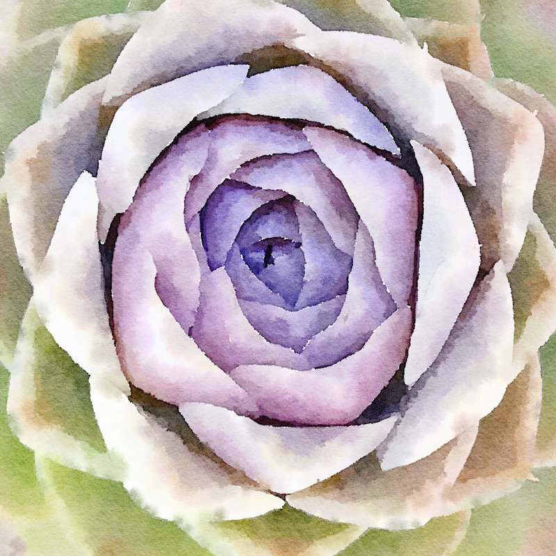Succulente IV by Vicki Gladle Bolick - Wrapped Canvas Painting, 51cm H x 51cm W