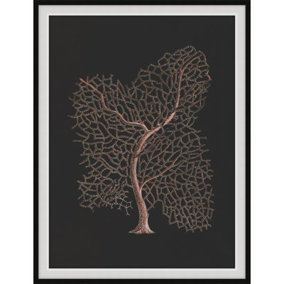 Timeless Relic 5 Print