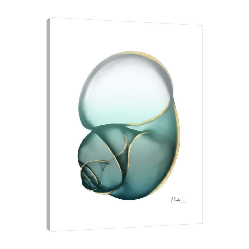 Shimmering Snail - Wrapped Canvas Print, 41 cm H x 30 cm W
