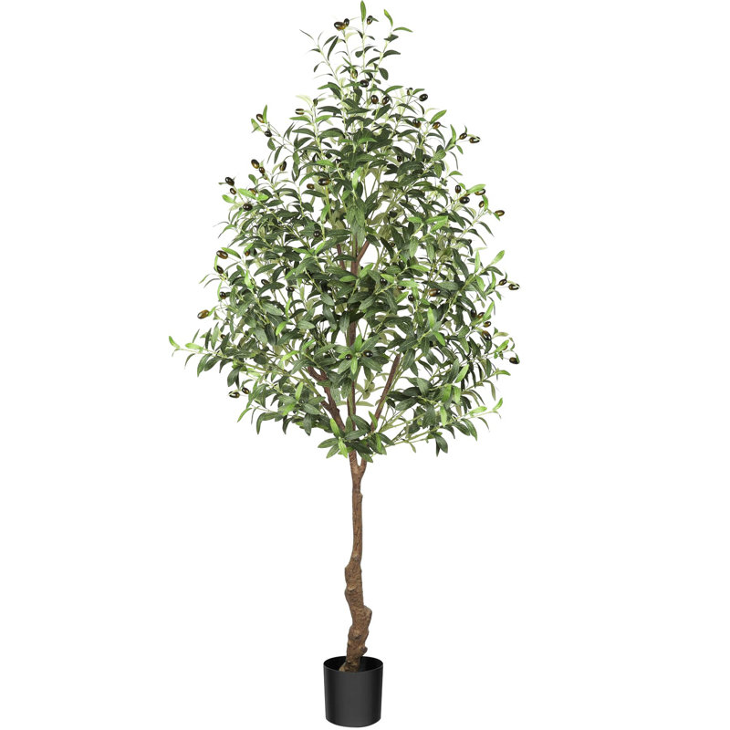 Olive Tree in Pot with Realistic Leaves and Natural Trunk,Olive Plants with Fruits for Home Decor, 70.9" H x 5.9" W x 5.9" D