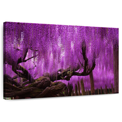 Harnek Wisteria Willow Tree