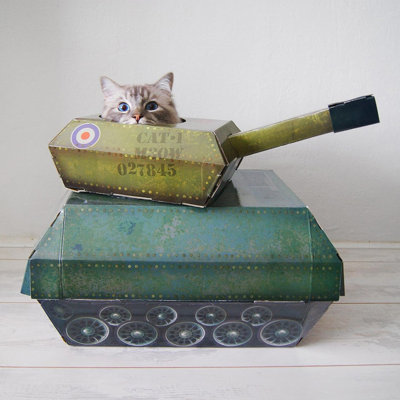 Pet Bed Accessory