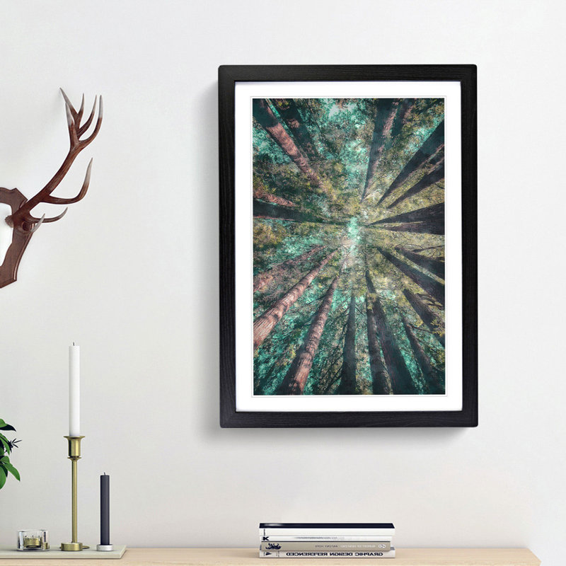 Redwood Trees in California - Picture Frame Graphic Art Print, 63cm H x 45cm W x 2cm D, Black Framed