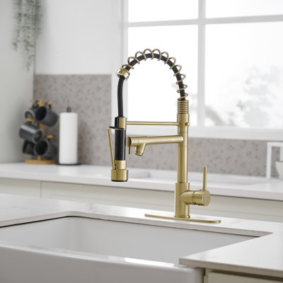 Pull Down Single Handle Kitchen Faucet with Accessories