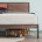 Raynia Metal Platform Bed-61665671