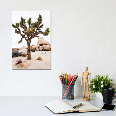 Joshua Tree National Park III by Susanne Kremer - No Frame Gallery-Wrapped Canvas Giclée on Canvas