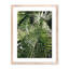 Palm I Print by Vitaliy Paykov-48619985-48619986