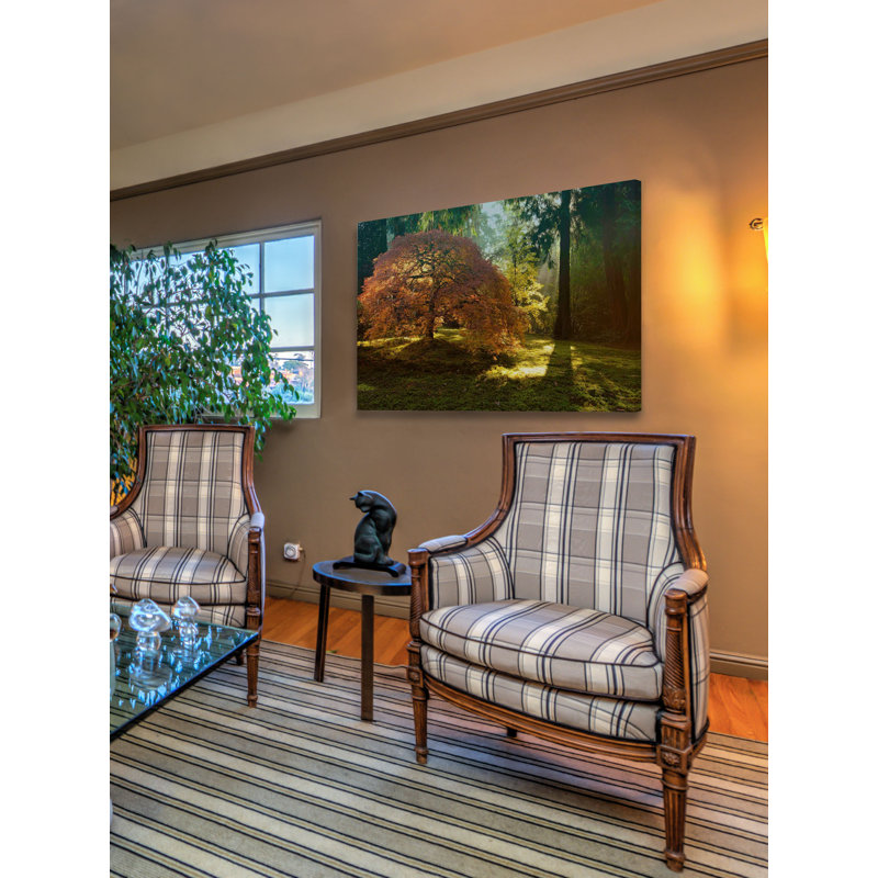 «In The Gentle Autumn Light» par Don Schwartz, reproduction d'art sur toile tendue, 40 po x 60 po