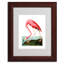 « american flamant rose », reproduction d’art sur toile encadrée-11826459-19296490