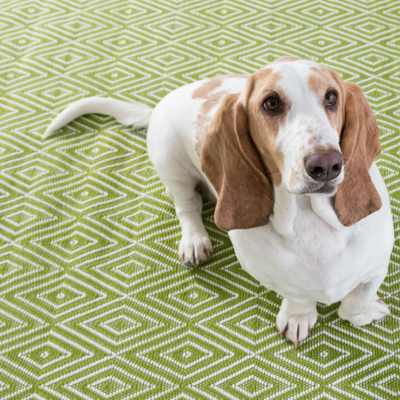 Diamond Sprout/White Handwoven Indoor/Outdoor Rug, Rectangle 3' x 5', null