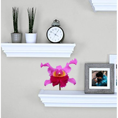 Plants & Flowers Wall Decal