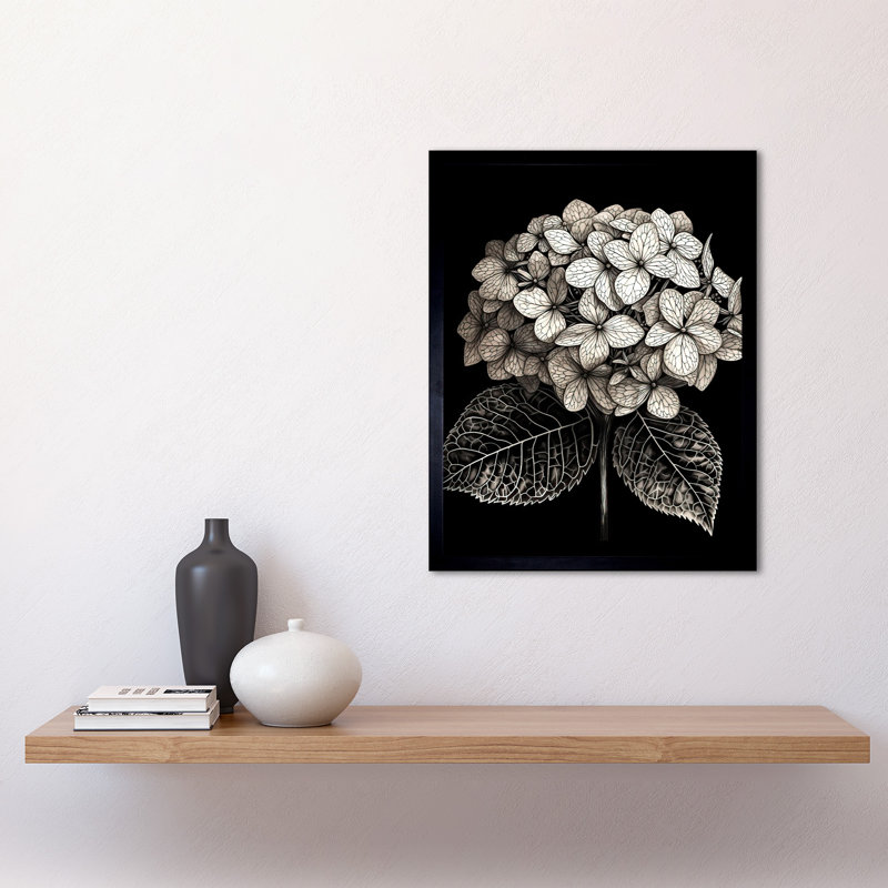 Talida Black And White Artistic Hydrangea Flower Plant - Single Picture Frame Print