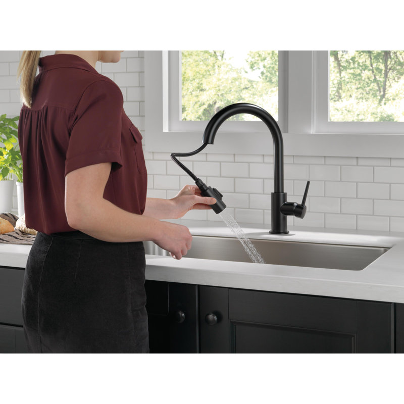 Trinsic Matte Black Kitchen Faucet with Pull Down Sprayer, Modern Single Hole Kitchen Sink Faucet, Single Handle, Matte Black