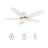 Smart DC Motor Ceiling Fan with LED Light, Remote control-2016644021-2074208054
