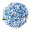 Hand-Tied Blue Hydrangea Bouquet