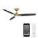 54" Blitzen 3 - Blade Smart Ceiling Fan With Remote Control Included, Works With Google Assistant, Amazon Alexa, iOS And Android APP