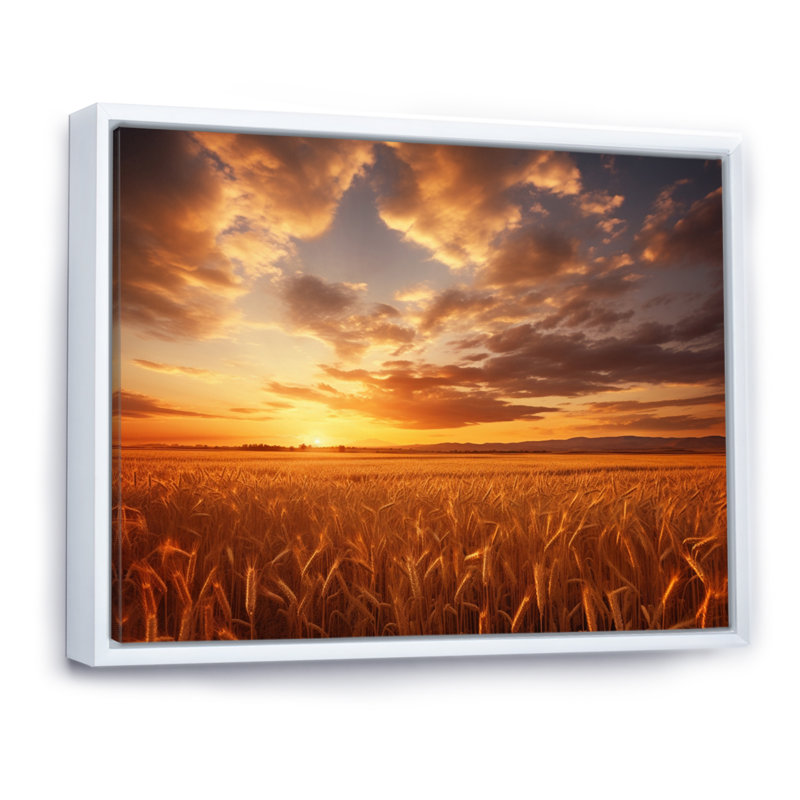 «Scenic Sky On Golden Horizon III», reproduction d'art sur toile, 30" H x 40" W, Cadre flottant blanc