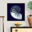« Indigo shells VII » par vision studio-impression-1808968373-1808968361