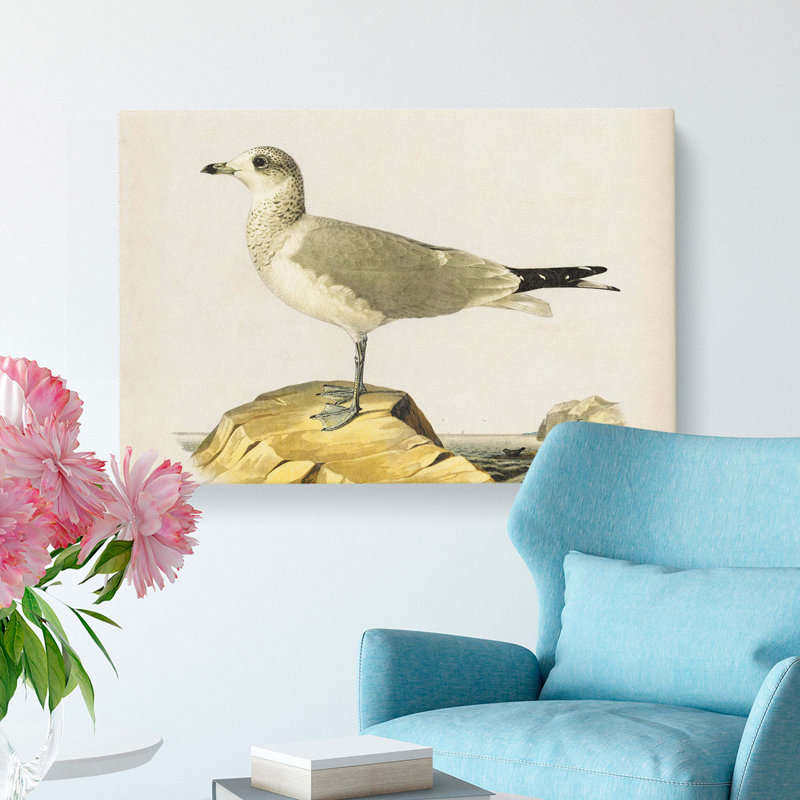 Common Gull by Von Wright - Wrapped Canvas, 35cm H x 50cm W x 3cm D