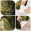 Adhésif mural amovible Peel and Stick-129876904