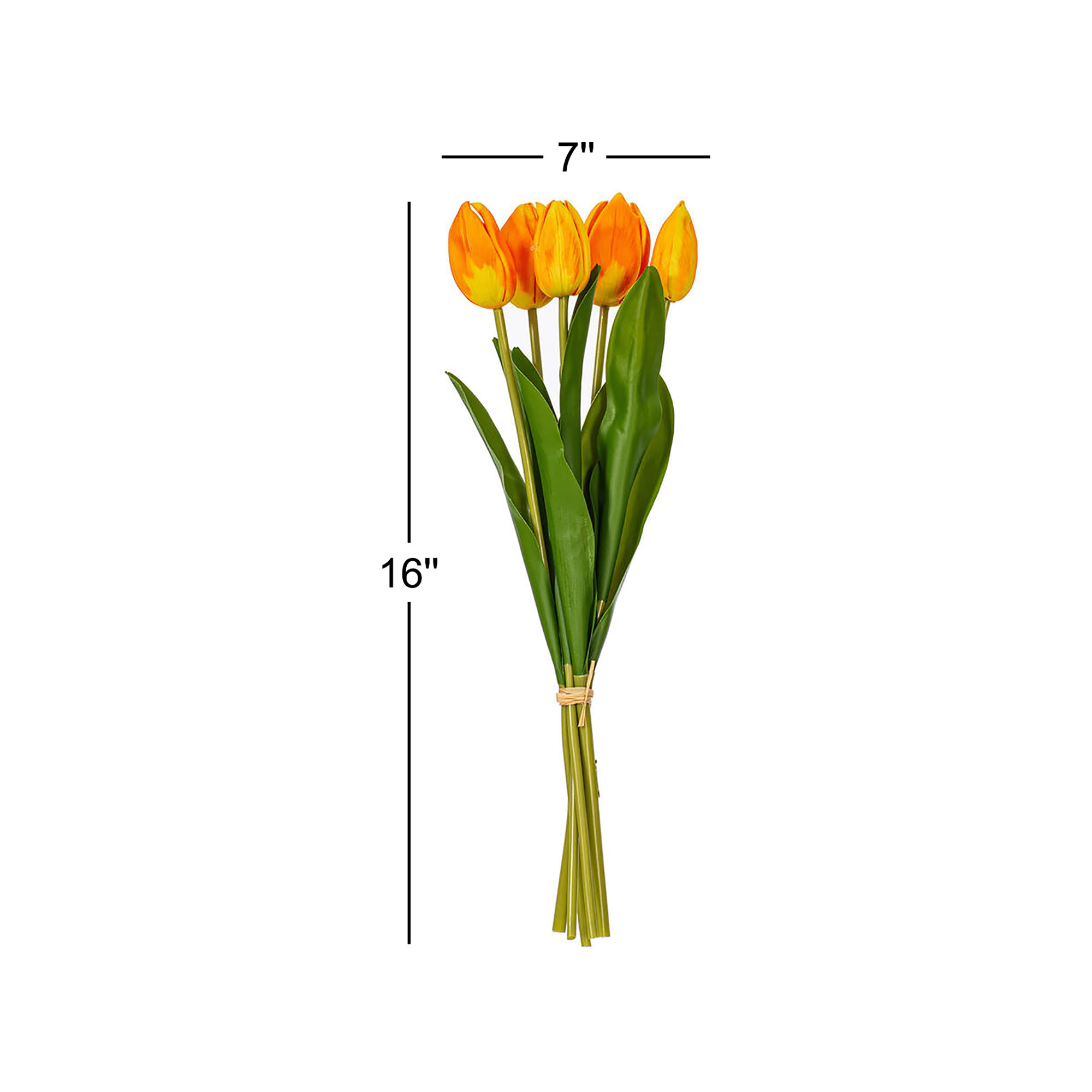 16"H Plum Tulip Bundle of 5., Orange