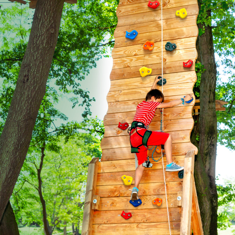 25 Rock Climbing Holds Climbing Rocks Rock Wall Holds Grip Indoor/Outdoor