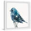 Chubby Blue Bird par Parvez Taj - reproduction d'art sur papier encadrée-50097441
