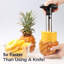 DEISS Stainless Steel Slicer