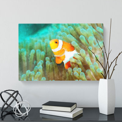 Clownfish Vol.1 - Wrapped Canvas