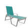 Holna Outdoor Rust-Resistant Metal Chaise Lounge